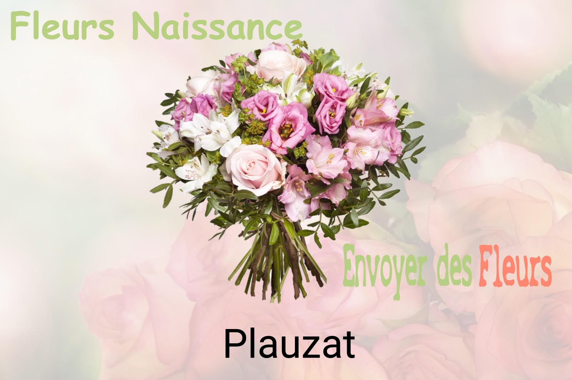 Bouquet de fleurs de naissance livré à Plauzat